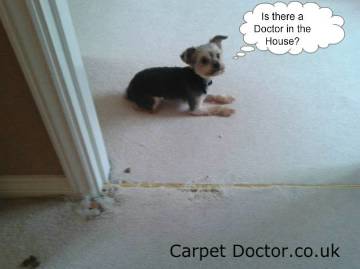 carpet repair Coventry